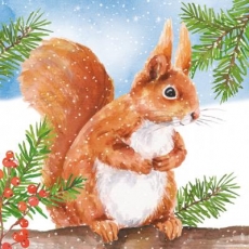 Squirrel in winter - Squirrel in winter - Écureuil en hiver