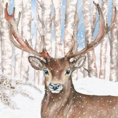 Hirsch im verschneiten Birkenwald -Deer in snowy birch forest - Cerf dans la forêt de bouleaux enneigés