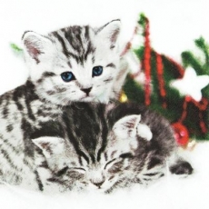 Kätzchen, Katzen am Weihnachtsbaum - Kitten, cats at the Christmas tree - Chaton, chats à l arbre de Noël