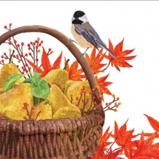 Vogel, Laub & Korb mit Birnen - Bird, foliage & basket with pears - Oiseau, feuillage & corbeille aux poires