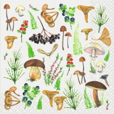 verschiedene Pilze, Farne & Früchte - different mushrooms, ferns & fruits - différents champignons, fougères et fruits