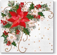 Weihnachtsstern, Christrosen, Ilex - Poinsettia, Christmas roses, Ilex - Poinsettia, roses de Noël, Ilex