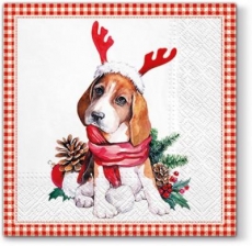 Weihnachtshund - Christmas dog - chien de Noël