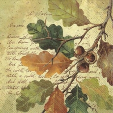 bunter Eichenzweig & Geschriebenes - colorful oak branch & written - branche de chêne colorée et écrite