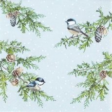 Vögel auf winterlichen Zweigen - Birds on winter branches - Oiseaux sur branches d hiver