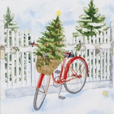 kleiner Weihnachtsbaum auf einem Fahrrad - small christmas tree on a bicycle - petit arbre de Noël sur un vélo