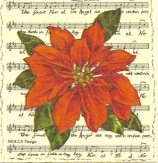Christstern auf Noten - X-mas flower on notes