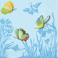 Bunte Schmetterlinge überall - Butterflies - Papillion