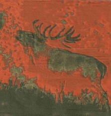 Hirsch - Deer, Stag - Cerf