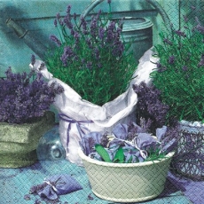 Duft von Lavendel - Scent of lavender - Parfum de lavande