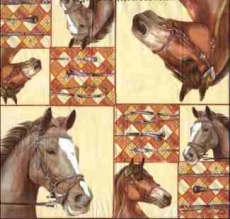 Hübsche Pferde - Pretty Horses - Joli Chevaux