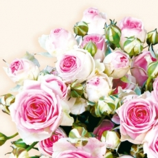 Pink Rose bouquet cream