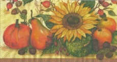 Sonnenblume mit Kürbis & leckeren Früchten