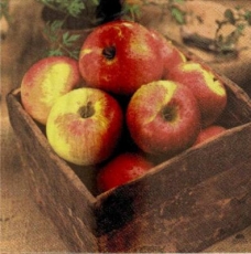 Die Apfelkiste - Apples - Pommes