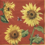 Sonnenblumen & Bienen