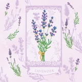 Zarter Lavendel