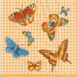 Schmetterlingsvielfalt - Papillon