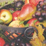 Früchte - Autumn fruits