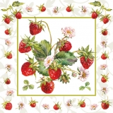 Erdbeerpflanze mit Früchten