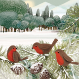 Drei Rotkehlchen warten vor dem Winterwald