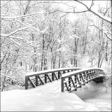 Schneebedeckte Brücke im Wald