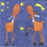 2 Rentiere in der Nacht - 2 reindeer by night - 2 rennes par nuit