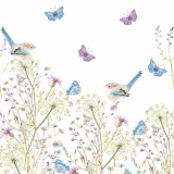 2 kleine süsse Vögel umringt von bunten Schmetterlingen sitzen im zart blühenden Feld mit Gräsern