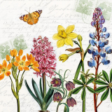 Schmetterling, Schrift, Briefmarken und Frühlingsblüher