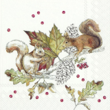 Zwei Eichhörnchen auf einem Zweig mit Blättern, Beeren und Zapfen