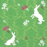 Hasen auf der Wiese - Rabbits on green