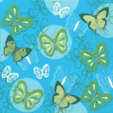 Butterflies on blue