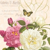 Rosen, Schmetterling & Geschriebenes - Pink & white Roses & Butterflies - Roses, papillon et écrite