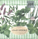 Lavendel, Schnittlauch & andere Kräuter