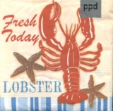 Hummer & Seesterne - Lobster