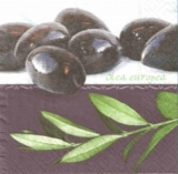 Oliven - Olea Europea