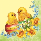Osterküken grün - Easter chicks - poussins de Pâques