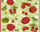 verschiedene Tomatensorten - different Tomatoes - lieux de tomates différents
