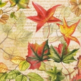 Herbstlaub - Autumn leaves - Feuilles d automne