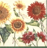 Sonnenblumenvielfalt - Sunflower variety - Variété de tournesol
