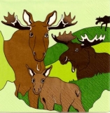 Elchfamilie - Moose, Elk family - Famille délan