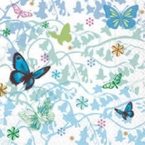 Welt der Schmetterlinge - World of butterflies - Monde de papillons