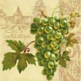 Helle & dunkle Trauben - Light and dark grapes - Raisins clairs et foncés