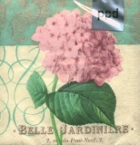 Belle Jardinière - Belle Hydrangea klein