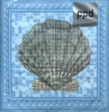 Muschel - scallop mosaic
