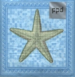 Seestern - Starfish mosaic