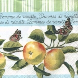 Schmetterlinge am Apfelbaum