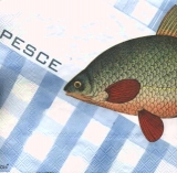 Fish - Pesce