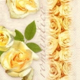 Rosen gelb - Romantico  klein