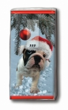 Bulldogge - Christmas dog