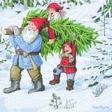 Nisser mit Weihnachtsbaum - Getting a x-mas tree